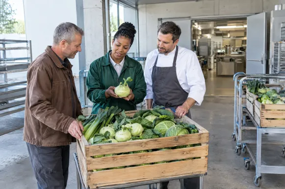 Ernährungsfachfrau prüft an der Rampe einer Großküche einen angelieferten Kohlrabi, Küchenleiter und Lieferant schauen auf die Ware
