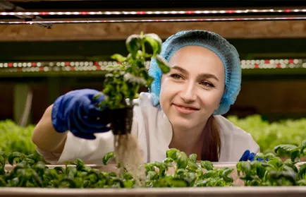 Freiberuflicher Autor - „Grundlagen der Hygiene und Mikrobiologie“ (m/w/d)