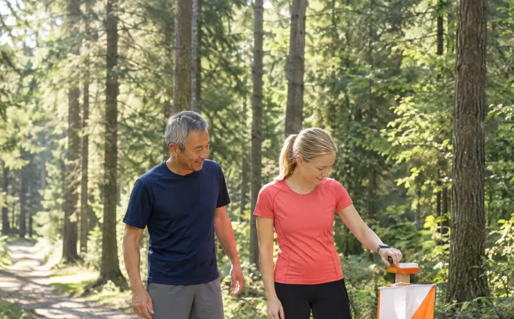 Wegweiser zum Fernstudium: Läuferin stempelt beim Orientierungslauf am orange-weißen Posten im Wald